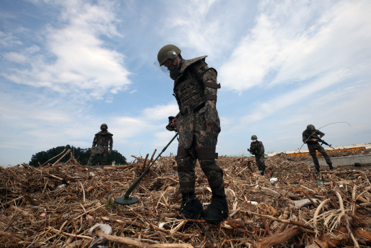 軍, 접경지역서 유실지뢰 200발 이상 수거