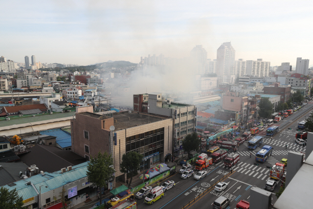 추석 대목 앞두고…서울 청량리 청과물시장에 불
