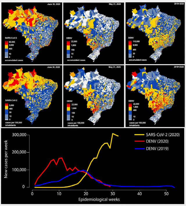 브라질에서 지난해 뎅기열이 심했던 곳은 올해 코로나19 확산 정도가 낮았다는 사실을 밝힌 연구 논문에 들어간 그래프. /로이터연합뉴스