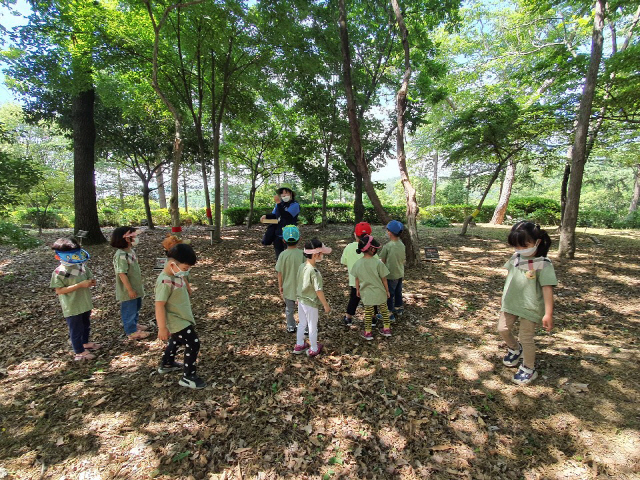 국립산림과학원 산림바이오연구소가 경남숲교육협회와 공동개발한 숲교육 프로그램이 시범운영되고 있다. 사진제공=국립산림과학원