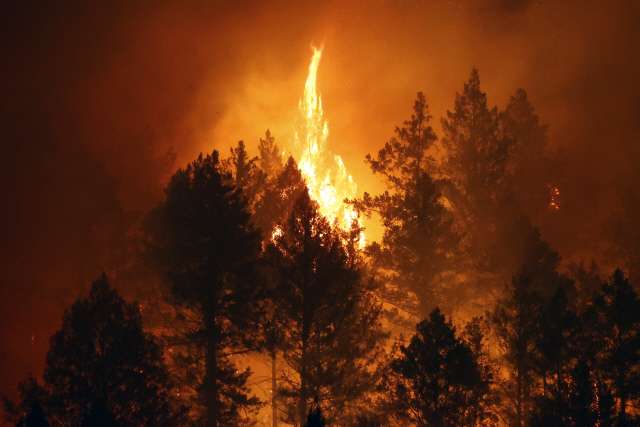 미국 나파 카운티 지역에서 27일(현시시간) 산불이 맹렬하게 타오르고 있다. EPA연합뉴스