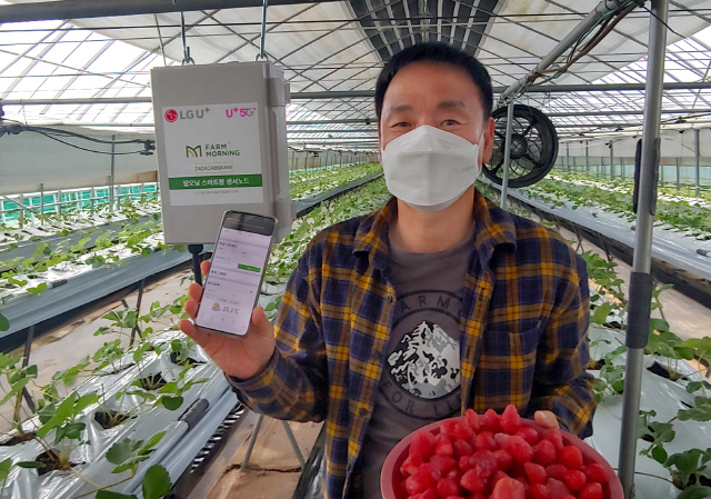 속초시 한 딸기 농가에서 농장주가 보급형 스마트팜 서비스를 소개하고 있다./사진제공=LG유플러스