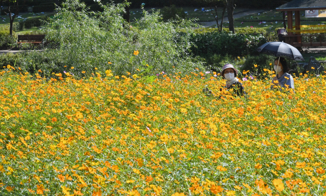 청명한 가을날씨를 보인 지난 27일 인천 부평구의 한 공원에서 시민들이 가을정취를 즐기고 있다./인천=성형주기자