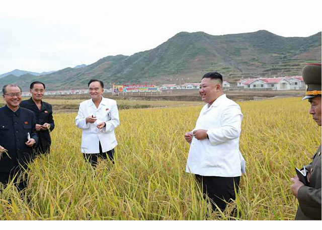 북한 김정은 국무위원장이 강원도 김화군 피해 복구 현장을 현지지도했다고 2일 노동당 기관지 노동신문이 보도했다. 김 위원장은 농작물 작황 상황을 보고받으며 “큰물(홍수) 피해를 입은 당시에는 내다볼 수 없었던 좋은 작황이 펼쳐졌다”고 평가했다./연합뉴스