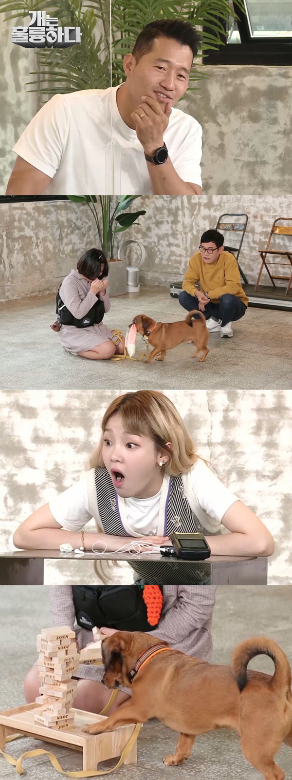 / 사진제공=KBS2 ‘개는 훌륭하다’