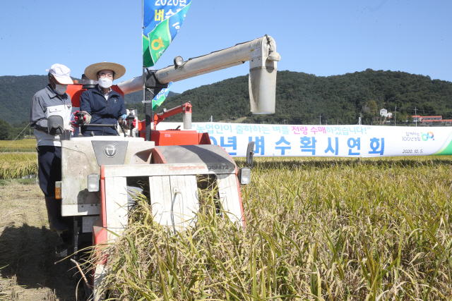 이성희(오른쪽) 농협중앙회장이 5일 전남 담양군에서 열린 ‘2020년 벼수확시연회’에서 콤바인으로 벼 수확을 하고 있다. /사진제공=농협