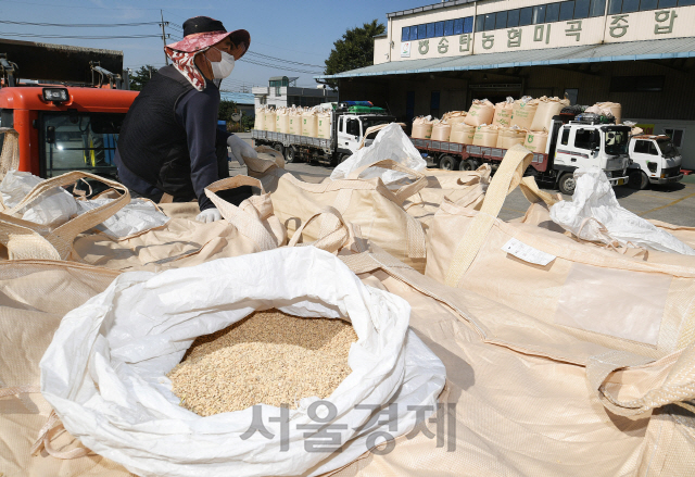 본격적인 미곡 수매철에 접어든 6일 오후 경기도 평택시 고덕면 송탄농협 미곡종합처리장(RPC)에서 한 농민이 수매 차례를 기다리고 있다. RPC 관계자는 