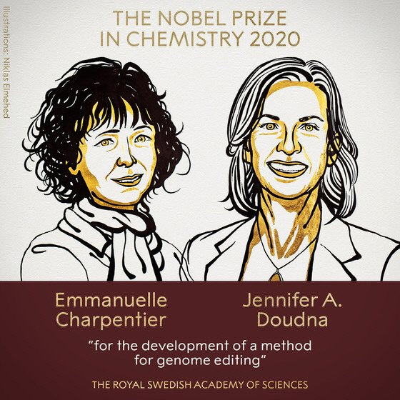 최신 '유전자 편집' 기술 개발…美·佛 여성과학자 '노벨화학상' 받았다.