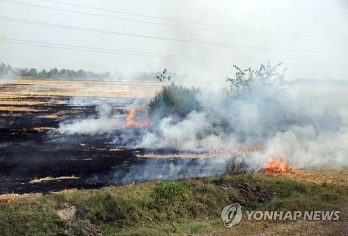 인도 북부 암리차르 인근에서 추수 잔여물이 불타는 모습. /EPA연합뉴스