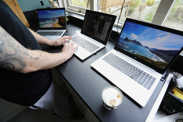 지난 2일(현지시간) 네덜란드에서 한 남성이 노트북을 이용해 재택근무를 하고 있다. /로이터연합뉴스