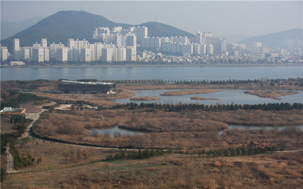 부산 낙동강하구 습지./사진제공=부산시