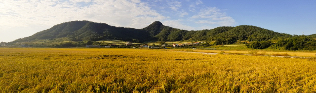 작가 이청준이 살던 장흥 회진면 진목리에서 바라본 선학동마을은 학이 날개를 펴 마을을 감싸고 있는 모양새다.