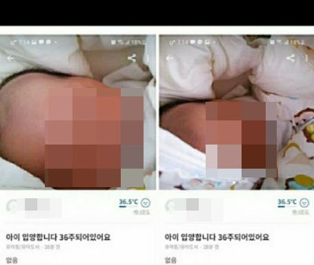 당근마켓 모바일 애플리케이션에 36주 된 아이를 거래하겠다는 글이 올라왔다./앱 캡처 화면