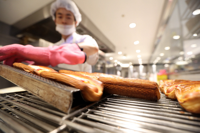 서울 시내 한 프랜차이즈 베이커리 매장에서 이른 아침부터 제빵기사들이 분주한 손길로 당일 판매할 다양한 빵을 만들고 있다. /연합뉴스
