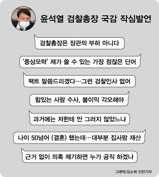 '사이다 윤석열' vs '최고 존엄이냐'…네티즌도 맞붙었다