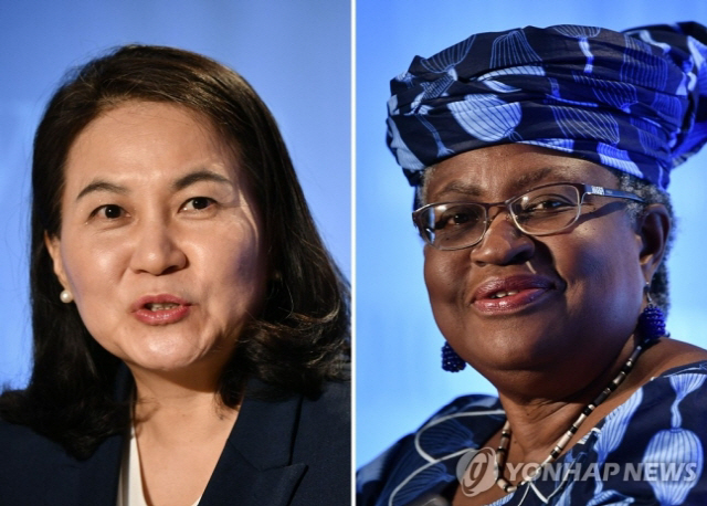 'EU, WTO 총장 선거서 나이지리아 후보 지지에 접근'