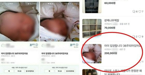 지난 16일 당근마켓에 올라온 ‘36주 신생아 입양’ 게시글./당근마켓 캡처