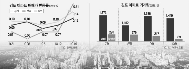 김포 40평 집값 10억 돌파…규제지역지정 초읽기