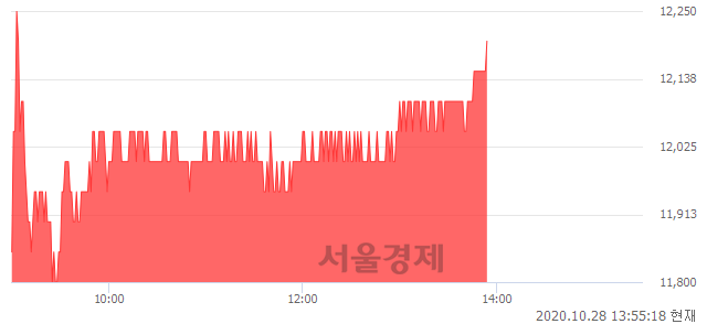 <코>와이팜, 3.39% 오르며 체결강도 강세로 반전(105%)