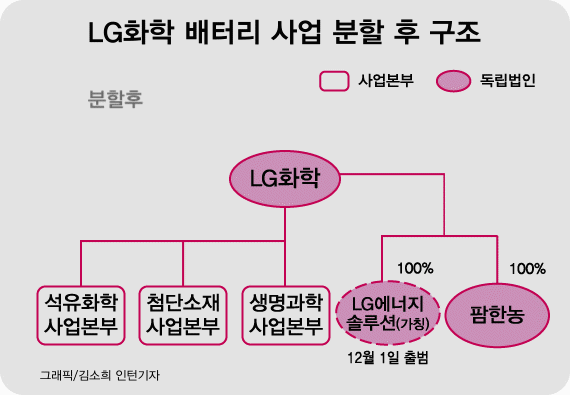 LG화학, 강력 반대 뚫고 분사 확정…허탈한 '동학개미'