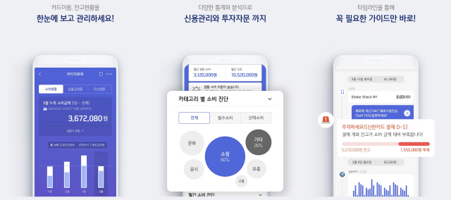 신한카드 신한페이판 애플리케이션의 마이리포트 주요 화면. /사진제공=신한카드
