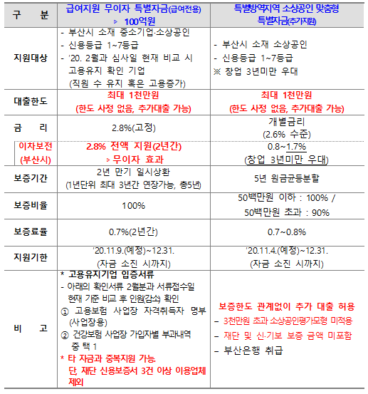 부산시 수요 맞춤형 신규 특별자금 세부지원내용./사진제공=부산시