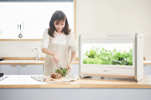 가정용 식물재배기 ‘웰스팜’으로 재배한 기능성 채소를 이용해 샐러드를 만들고 있다. /사진제공=웰스