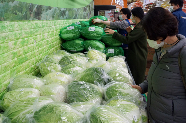 5일 마트에서 소비자들이 김장 재료를 살펴보고 있다. /사진제공=한국농수산식품유통공사