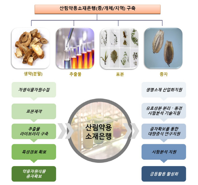 국립산림과학원이 추진중인 산림약용소재은행 구축 체계도. 사진제공=국립산림과학원