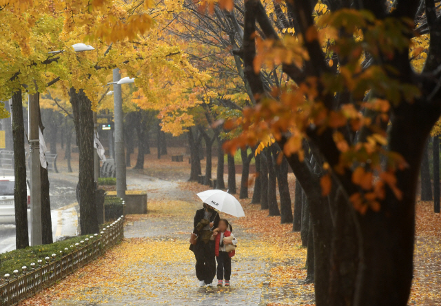 가을비가 내린 지난 1일 서울 독립문역 인근에서 시민들이 가을정취를 느끼며 걷고 있다./성형주기자
