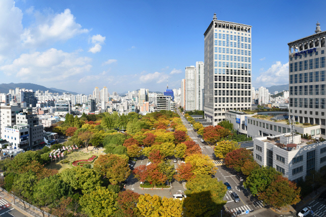 부산시청 전경./사진제공=부산시