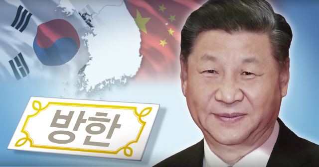 시진핑 중국 국가주석은 연내 방한을 추진하고 있다. /연합뉴스