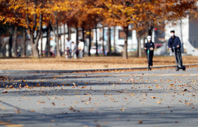 8일 오후 경북 경산시 영남대학교 캠퍼스에서 낙엽이 바람에 날리고 있다./연합뉴스