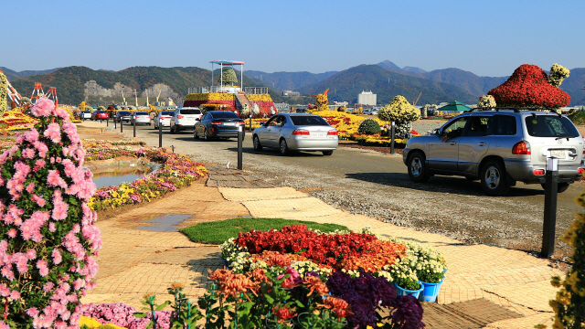 마산국화전시회. /사진제공=창원시