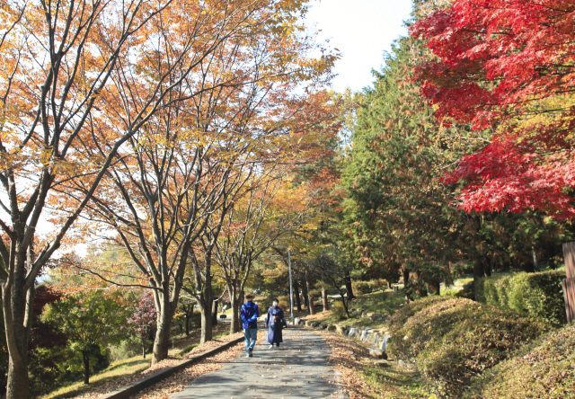 가을에 찾은 천호성지는 길 따라 형형색색 물든 단풍을 즐기기에도 좋다.