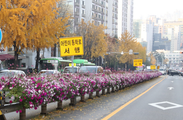 관악로의 중앙분리대에 화초가 식재된 플랜터가 설치돼 있다./사진제공=관악구