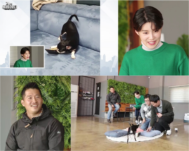 / 사진제공=KBS2 ‘개는 훌륭하다’