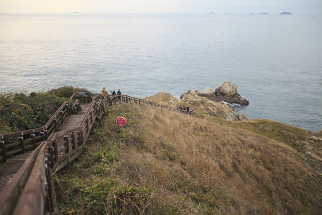 지난 2013년 개방한 옹도는 산책로를 설치해 섬을 둘러볼 수 있게 했다. 계단을 따라 내려가면 북쪽으로 주변 섬을 조망할 수 있다.