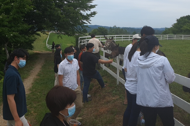 /사진제공=하동군