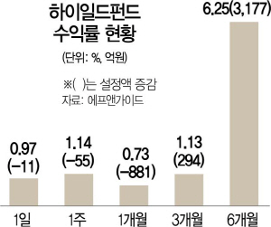 2116A15 하이일드펀드(16판)