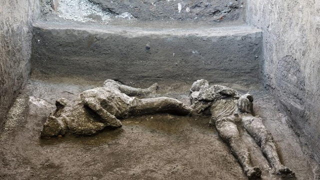 가디언 등에 따르면 폼페이고고학공원은 폼페이 유적지의 한 대형 주택 지하실에서 검게 그을린 두 남성의 전신 유해를 발굴했다./AP=연합뉴스