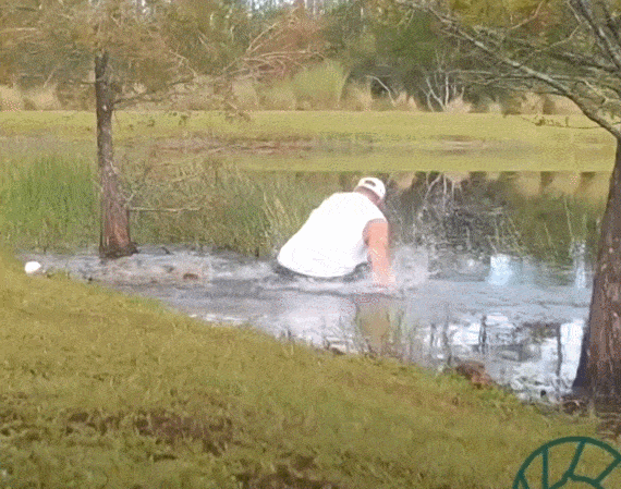 미국 플로리다주에 사는 70대 리처드 윌뱅크스가 맨손으로 악어의 입을 벌려 반려견을 구하고 있다. /CNN 홈페이지 캡처