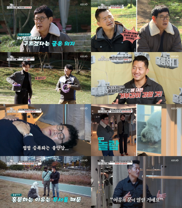 / 사진제공=KBS2 ‘개는 훌륭하다’ 영상 캡처