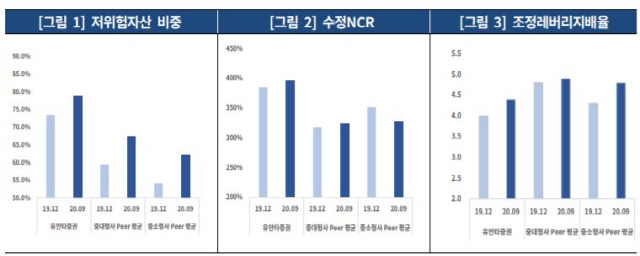 자료=한국기업평가