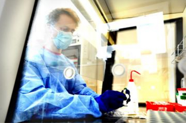 영국 옥스포드대학병원 직원이 실험실에서 면봉 검체로 코로나19 감염 여부를 검사하고 있다. /사진=옥스포드대학병원