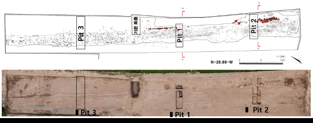 신라의 김알지 시조설화가 전하는 계림에서 왕궁터인 월성으로 향하는 소형 도로의 흔적이 발굴조사를 통해 드러났다. /사진제공=국립경주문화재연구소