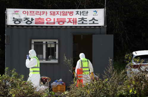 지난 10월 아프리카돼지열병(ASF) 발생이 확인된 강원 화천군의 한 양돈 농가에서 방역당국 관계자들이 입구를 통제하고 있는 모습. /연합뉴스