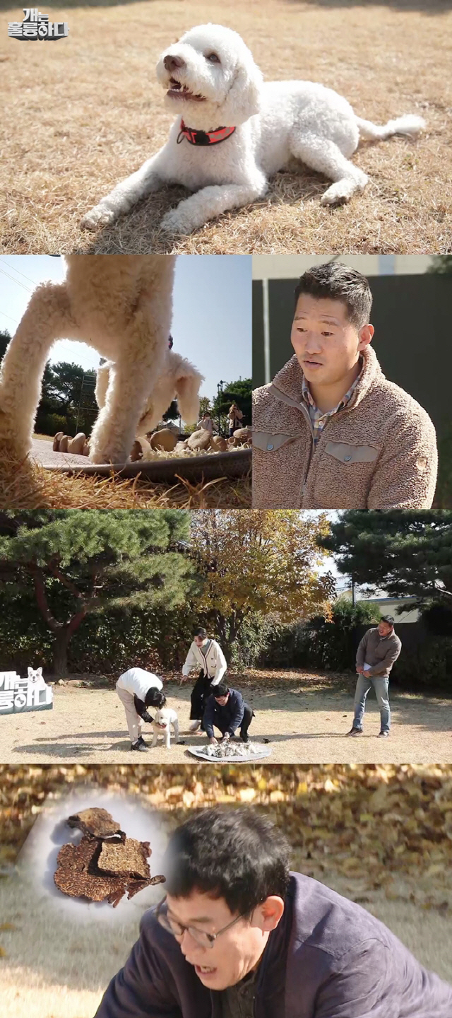 / 사진제공=KBS2 ‘개는 훌륭하다’