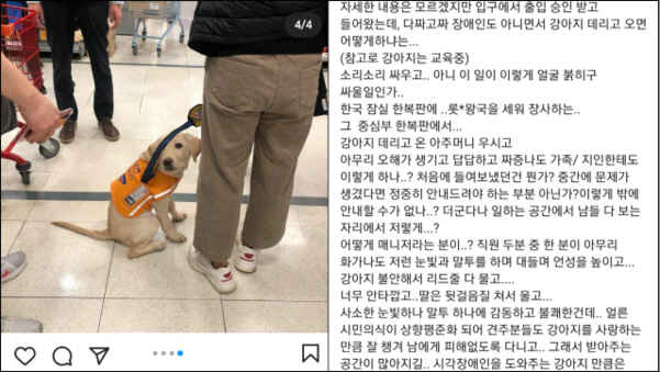 지난 29일 서울 한 대명하트에서 시각장애 안내 훈련견 출입을 거부했다는 목격담이 올라왔다. /인스타그램 캡처