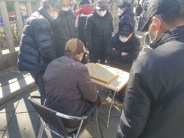서울 종로구 탑골공원 인근에서 노인들이 추운 날씨 속에 두터운 옷을 입은 채 장기를 두고 있다. /방진혁기자